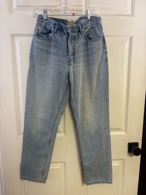 Everlane Light Blue Cheeky Jeans high rise straight 29